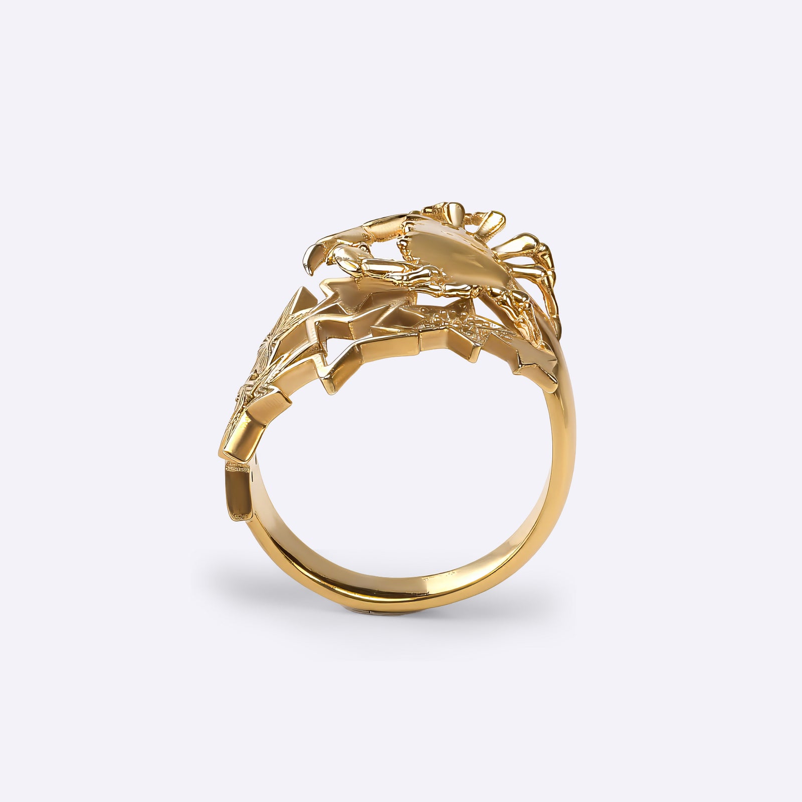 Cancer astrology Adjustable ring in yellow gold with star constellation design, birthday gift, CITIMI
