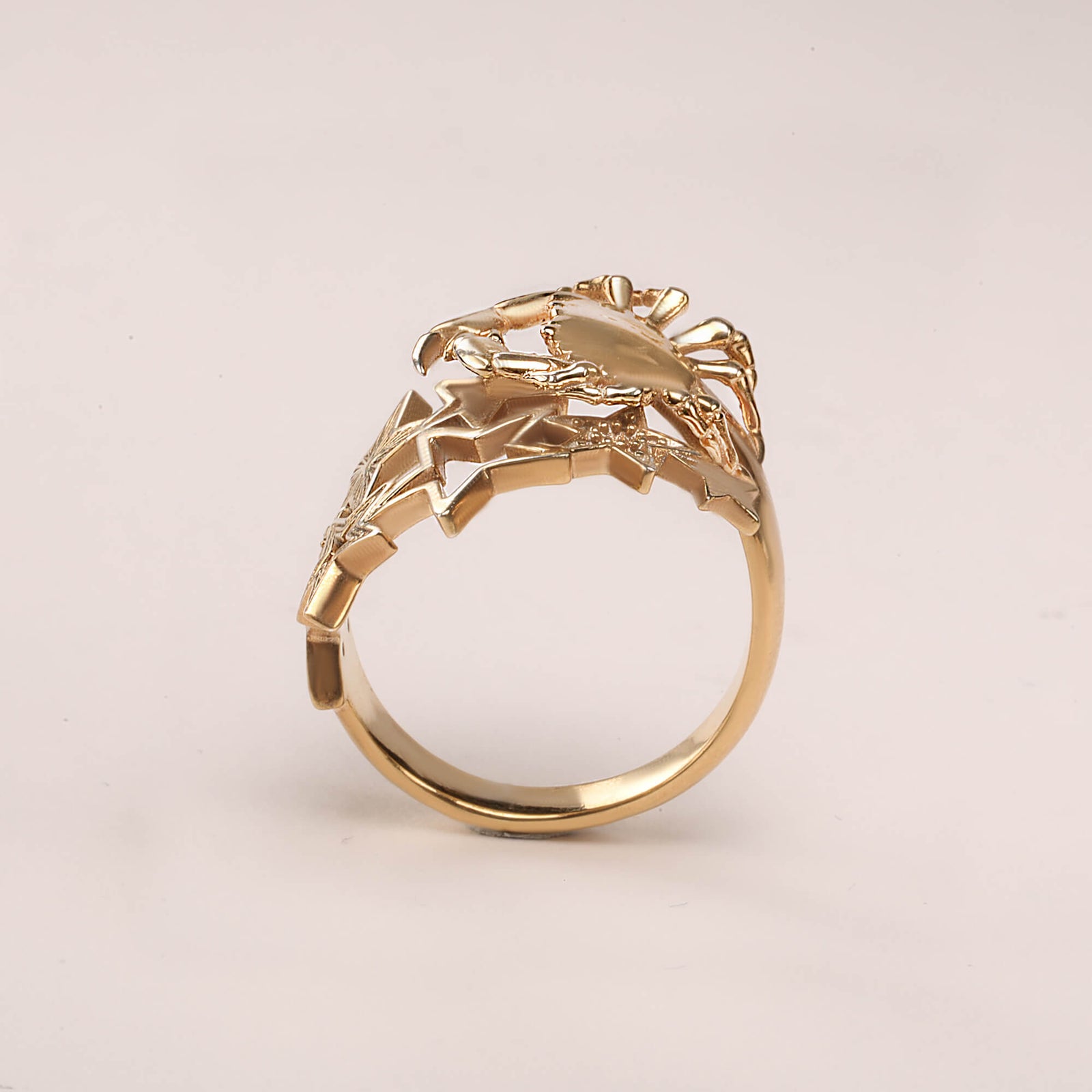 Cancer ring, crab ring, 3d silver ring, CITIMI Jewelry