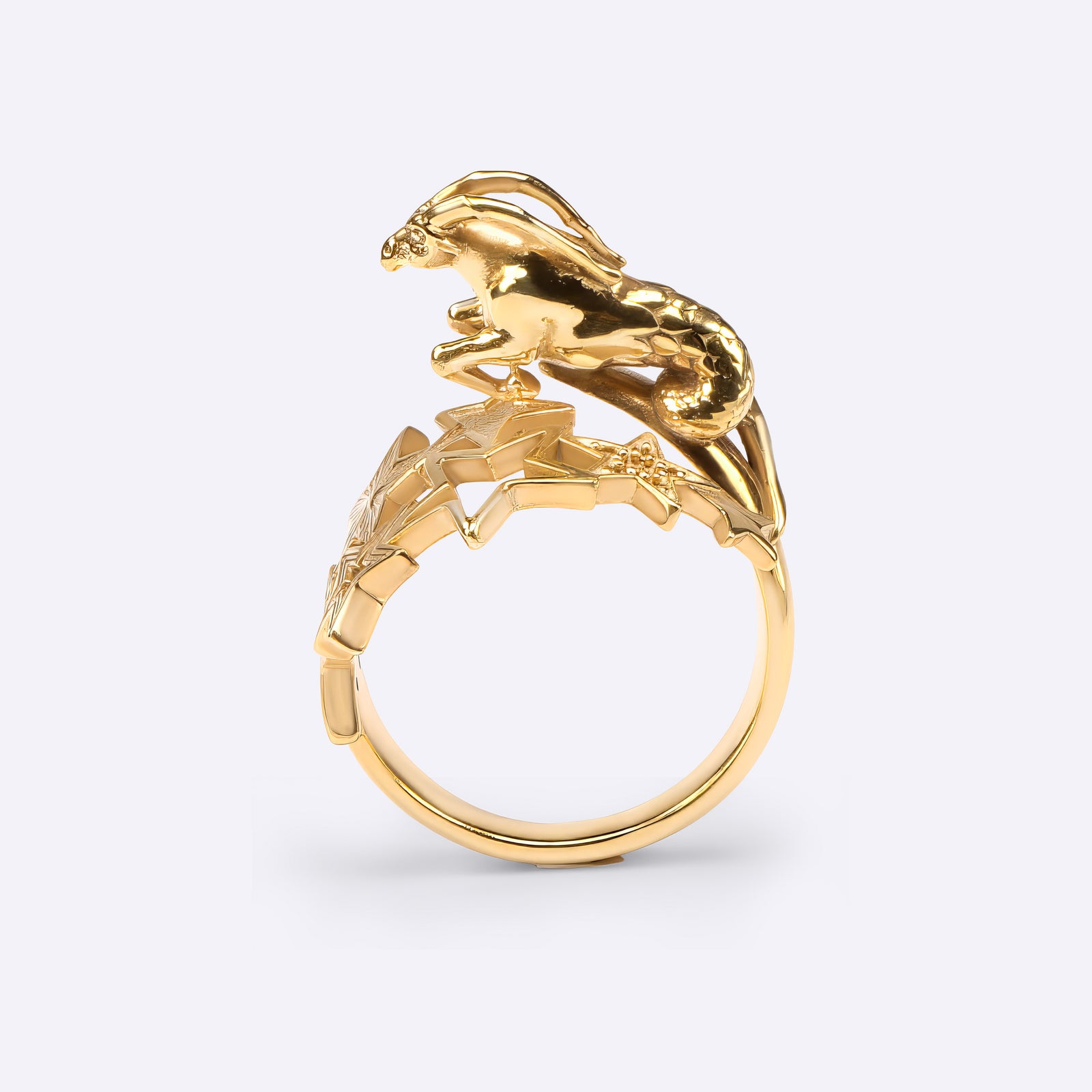 capricorn astrology statement ring, in yellow gold with star constellation design, January February birthday, CITIMI
