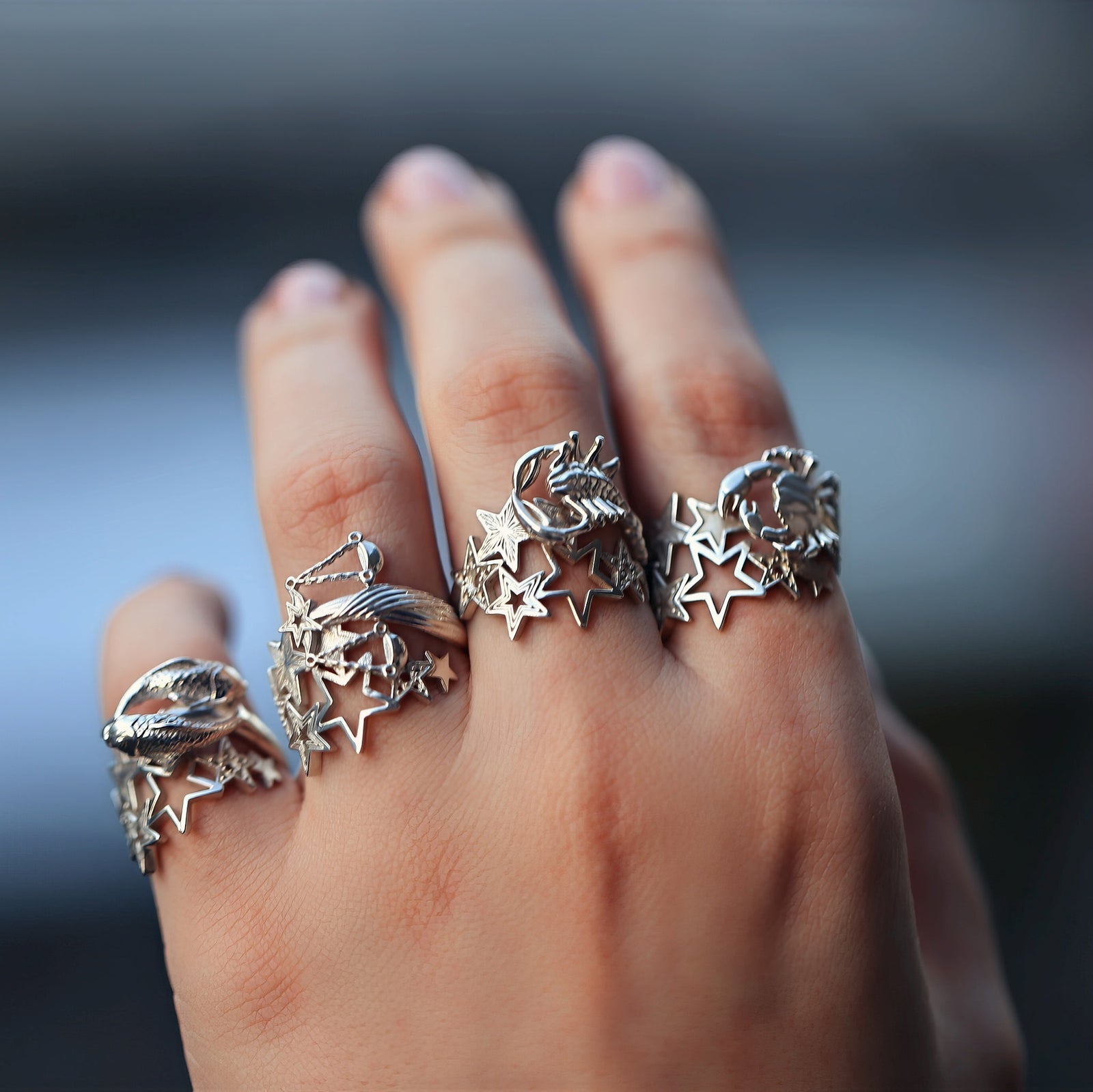 Zodiac Rings