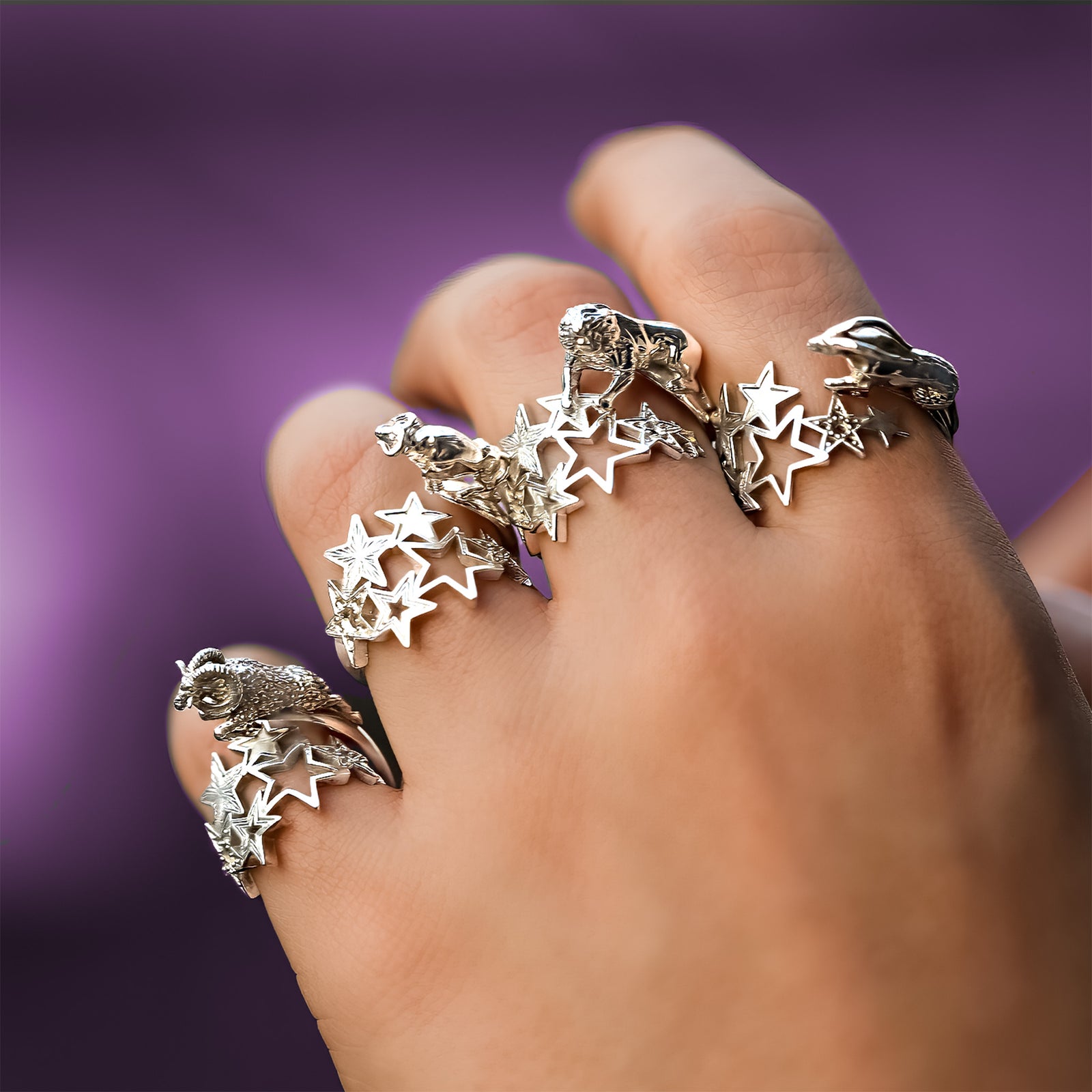 Sterling Silver zodiac sign statement rings collection stacked on fingers,  personalized gift, CITIMI