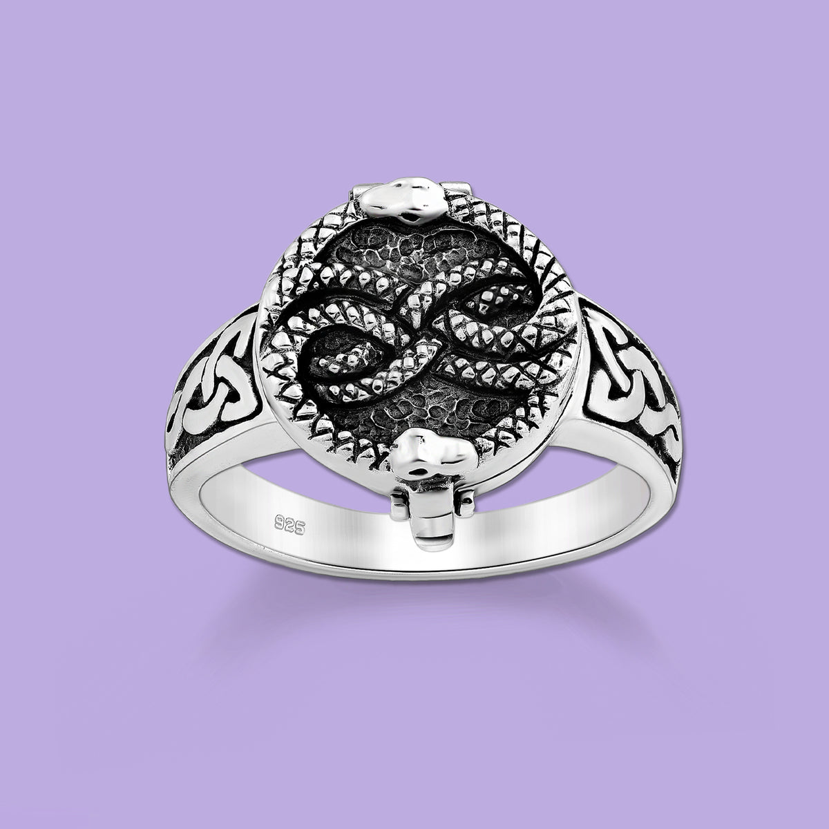 Ouroboros  jewelry, Silver Locket Ring 
