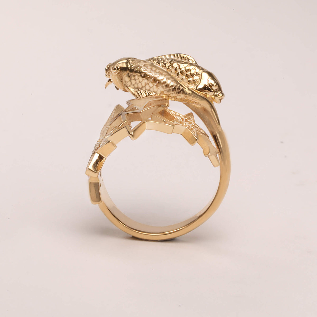 Pisces ring 3D, Zodiac ring, Pisces gift, 3d ring by CITIMI Jewelry