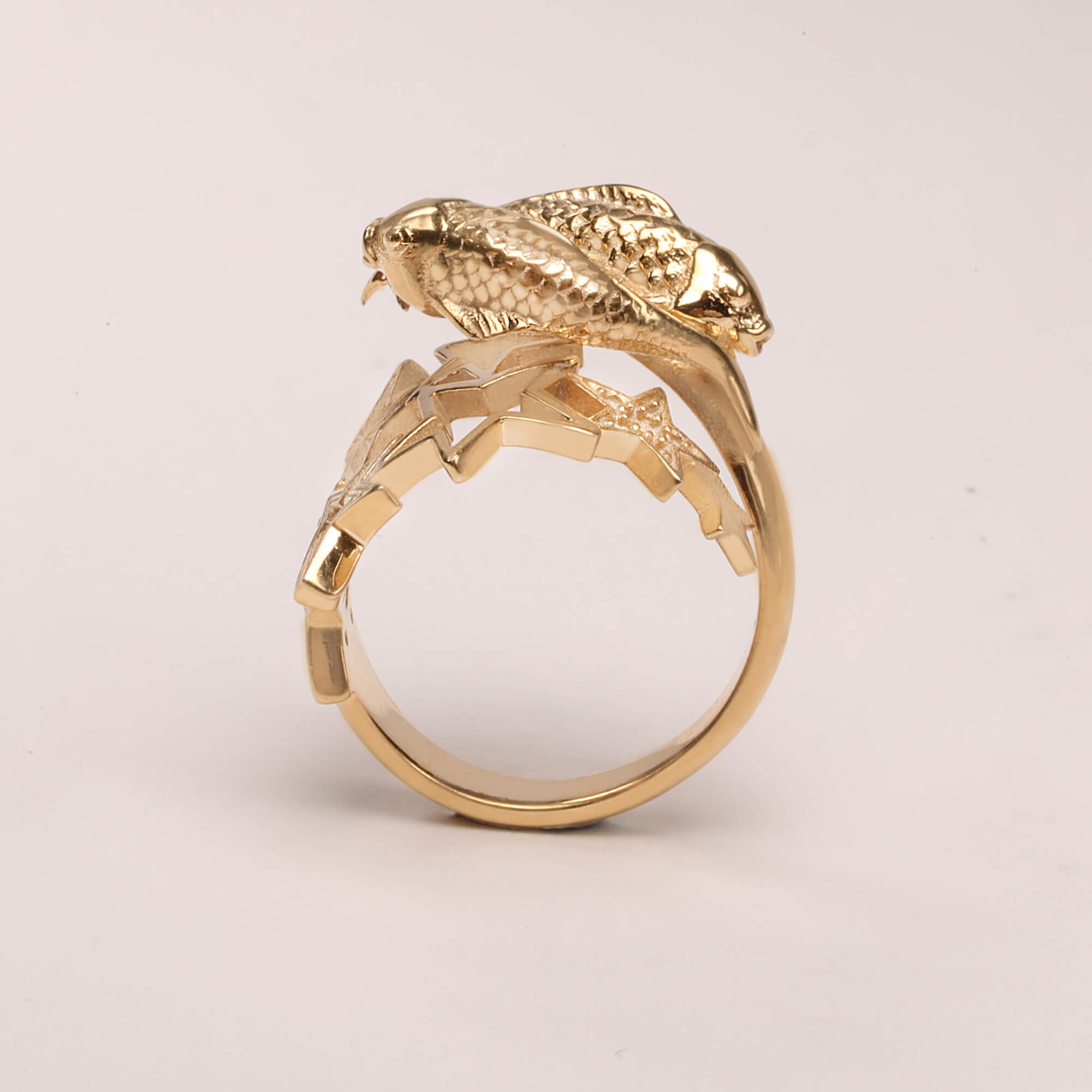 Pisces ring 3D, Zodiac ring, Pisces gift, 3d ring by CITIMI Jewelry
