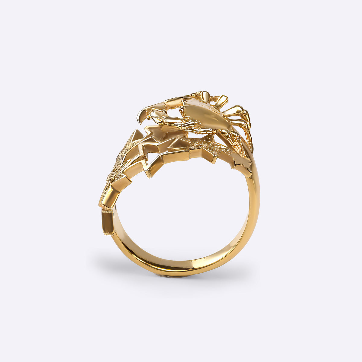 Cancer astrology Adjustable ring in yellow gold with star constellation design, birthday gift, CITIMI