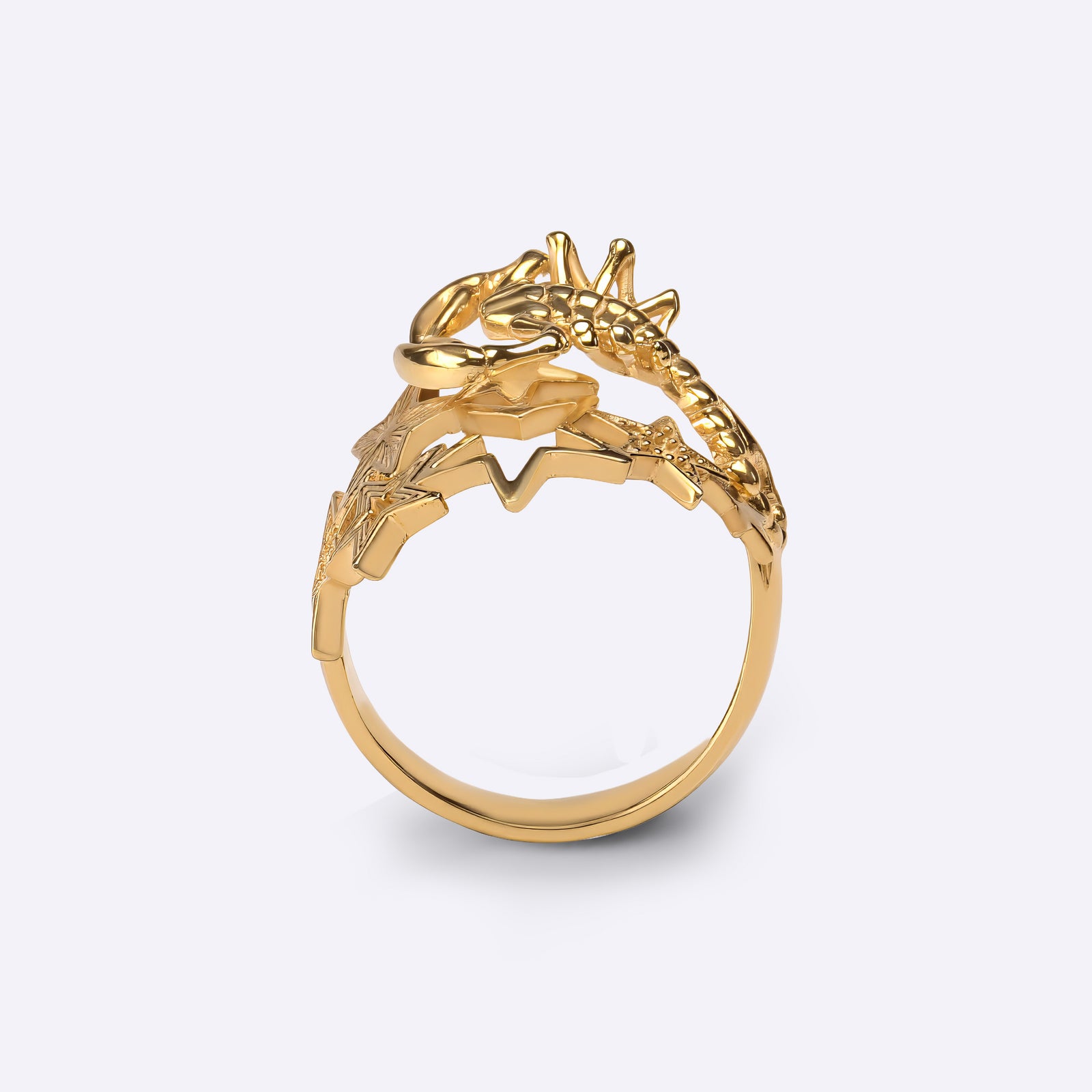 CITIMI zodiac rings collection in sterling silver with constellation stars,  birthday gift