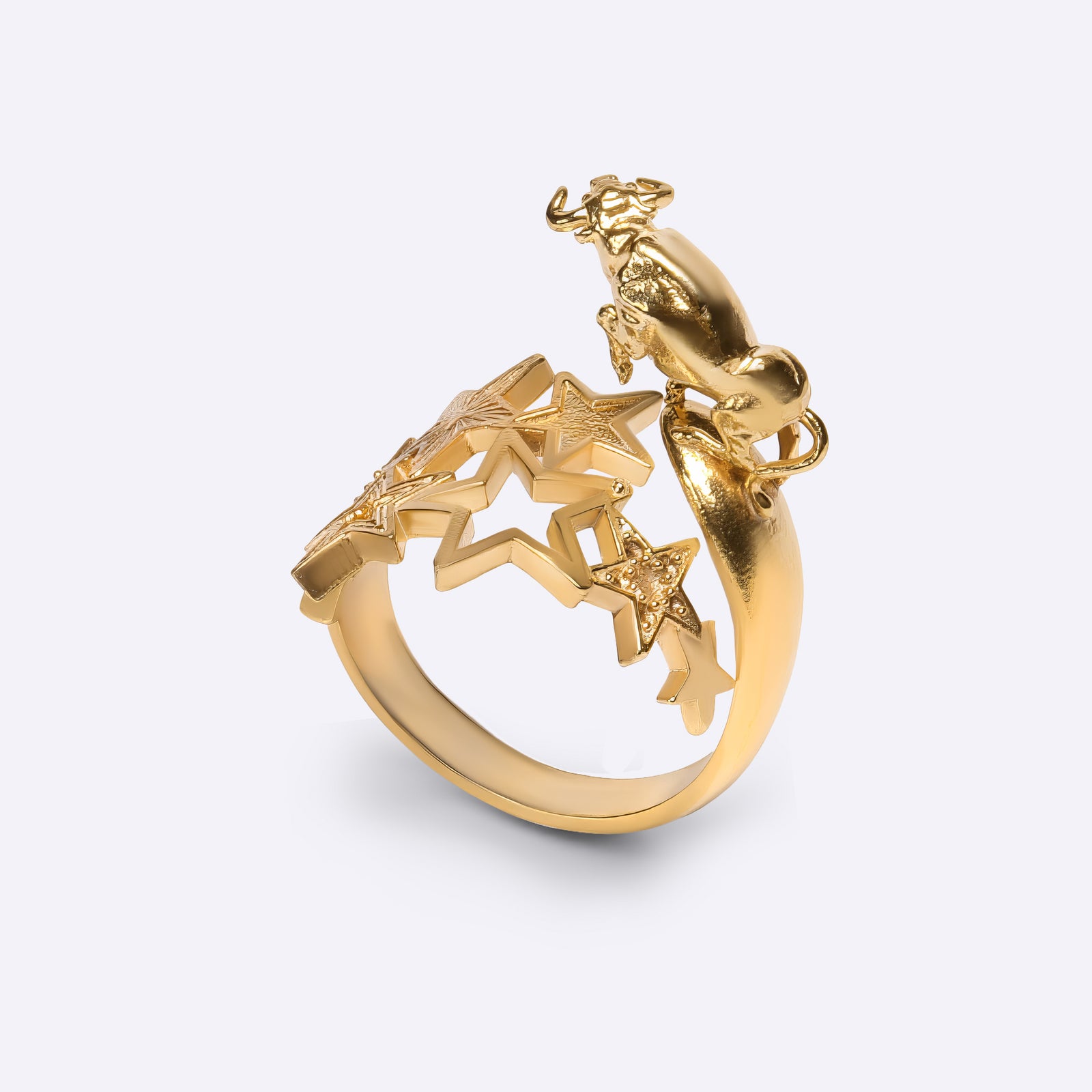Sterling Silver zodiac sign statement rings collection stacked on fingers,  personalized gift, CITIMI